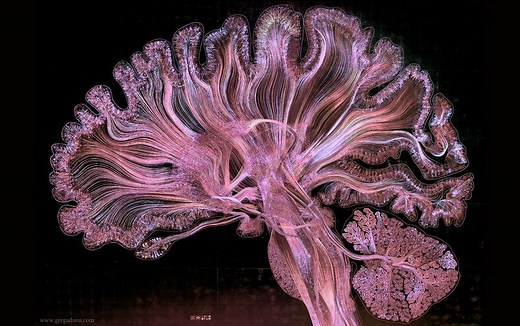 Watch the Human Brain Come to Life in This Stunning Piece of Art