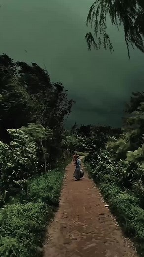 Exploring the Beauty of Nature: A Relaxing Journey