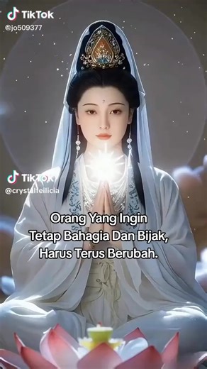 lin lin 2 (@lin.lin.2)’s videos with original sound - lin lin 2