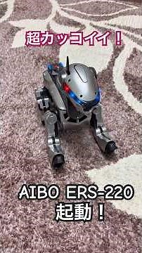 超カッコイイ！ AIBO ERS–220 が起動した！ #aibo #アイボ #マクロス