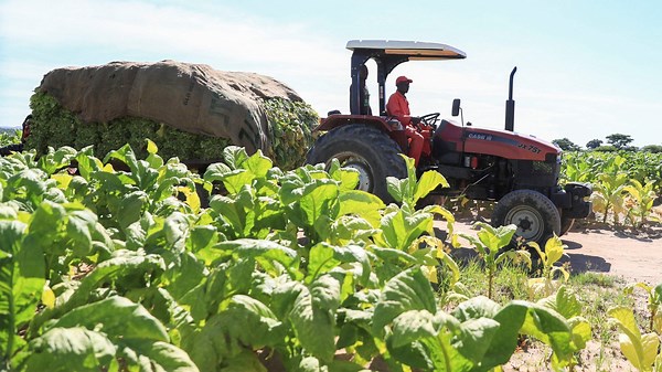 Zimbabwe's plan to compensate evicted white farmers sparks backlash
