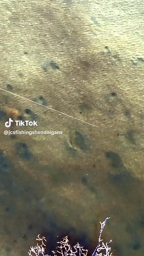 Flathead 1v1 Fishing Challenge with MMD FlatFish | Outdoors Fortnite Gameplay