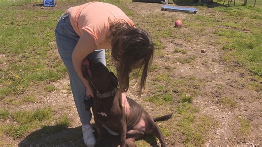 Paws and Prayers Pet Rescue's 'Forever Foster' program in Cuyahoga Falls gives senior pets a second chance: Ready Pet GO!