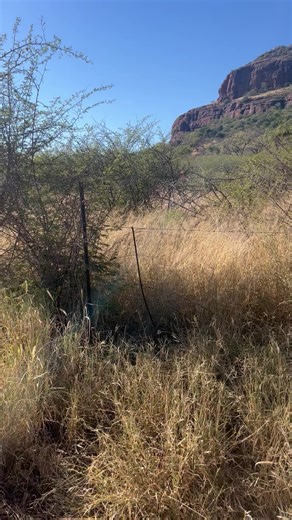 Exploring the Breathtaking Modimolle Mountain in South Africa