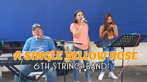 17K views · 430 reactions | A Single Yellow Rose | 6th String Band Cover #6thstringband #6thstringbandcover | 6th String Band | Facebook