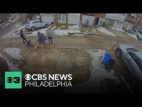 Philadelphia women fights to file charges after being attacked by 3 dogs in Olney