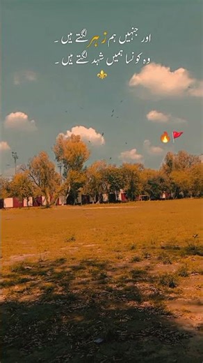 Uni life vibes 🌿✨🔥#shorts #collegelife#unilife #campusvibes#aesthetic #nature #pakistan #viral #fyp