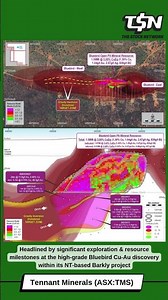 Tennant Minerals (ASX:TMS): Quarterly Activities Report
