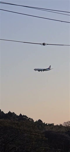 日没直後のANA737機🛬