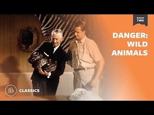Danger: Wild Animals | Mutual of Omaha's Wild Kingdom