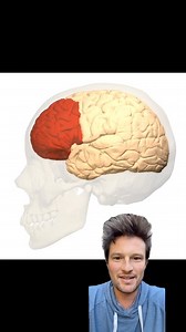 101 reactions · 32 shares | One way to stimulate the prefrontal cortex is doing something that you know you need to get done but don't want to do. The prefrontal cortex is an area of the brain that's responsible for motivation, concentration and it is really what makes us human. The more that you stimulate that area of the brain the better it will function! | Dr. Ryan Cedermark | Facebook