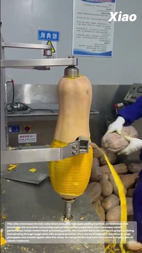 Fully Automated Pineapple & Apple Peeling Machine Innovations: The Pumpkin's Robotic Makeover