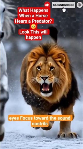 What Happens When a Horse Hears a Predator? 😳 #facts #animals #shortreel #viral