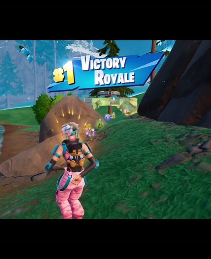 Fortnite End Game: Struggles of Finding the Last Player