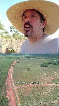 Thinning should be done during the dry season.