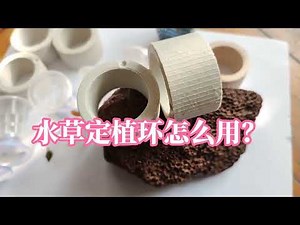 水草定植环怎么用？其实多数情况下不必使用，水草固定环使用方法古法生态缸养鱼虾，水草种植方法，鸫龟先生视频