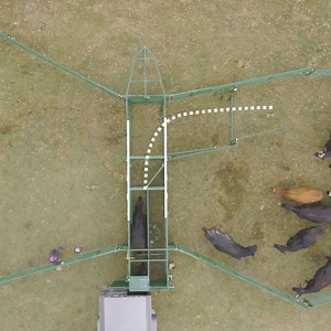 734 reactions · 52 shares | No more chasing, prodding, or rowdy cattle. The Heeler portable corral lowers stress levels for the handler and cattle. | Arrowquip | Facebook