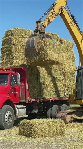 THE EXCAVATOR IS REMOVING BALES FROM THE TRUCK