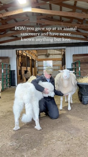 98K views · 4.7K reactions | Marvels mom was rescued from being...