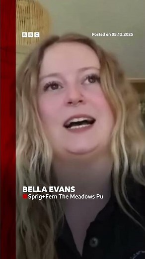 A baby seal walks into a bar in Richmond, New Zealand. #NewZealand #BBCNews