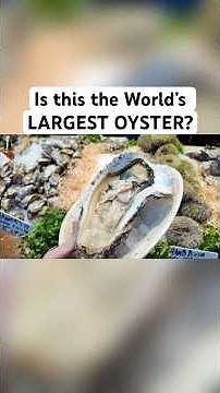 I Ate The World’s Largest Oyster in Borough Market!