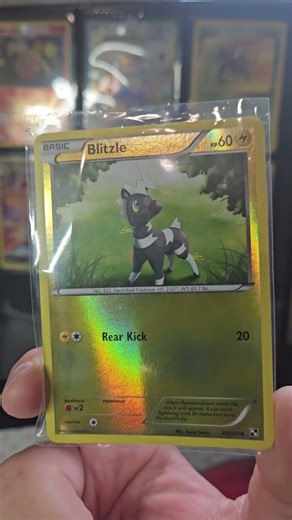 121 Days In and the Binder Gets Better #PokemonCards #CommunityVote