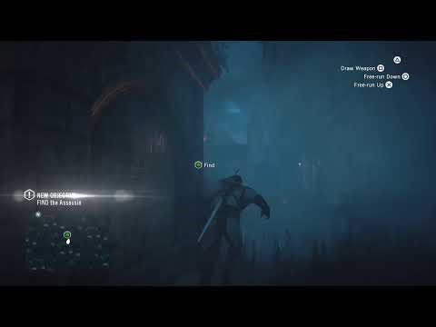 Assassin's Creed Unity multiplayer