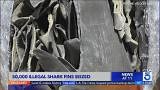 50,000 illegal shark fins seized