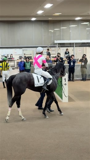 菅原明良騎手 7勝目 クインズデネブ