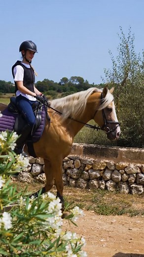 Mathilde | World On Horseback on Instagram: "A family horsecation in Spain💕 So happy we discovered this gem on the beautiful island of Mallorca A stunning stud farm, riding school, and agrotourism retreat! This is hands down one of the most versatile equestrian getaways but the highlight to me was getting a chance to ride some of the stunning Andalusians that are bred right here on the farm! Oh and my 2.5 year old son riding a pony for the first time 💕😄 This family-ran farmhouse welcomes ride