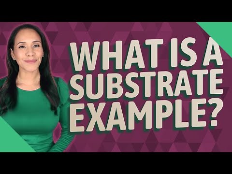 What is a substrate example?