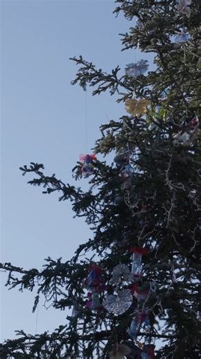 𝐒𝐨𝐭𝐭𝐨 𝐢𝐥 𝐓𝐞𝐧𝐝𝐨𝐧𝐞 𝐫𝐢𝐬𝐜𝐚𝐥𝐝𝐚𝐭𝐨 𝐋𝐮𝐠𝐨 𝐬𝐨𝐠𝐧𝐚🎪 Per tutto il mese di dicembre e nei primi giorni di gennaio circo contemporaneo, teatro e musica, poesia e comicità per grandi e piccoli, con spettacoli pomeridiani e serali. Scarica il programma 🔗 https://rb.gy/g7wrsq 𝐏𝐞𝐫 𝐢𝐧𝐟𝐨𝐫𝐦𝐚𝐳𝐢𝐨𝐧𝐢 𝐞 𝐩𝐫𝐞𝐧𝐨𝐭𝐚𝐳𝐢𝐨𝐧𝐢: 3427736730 | prevendita online https://rb.gy/im1lq1 illustrazione di @bryan_vandekamp MagdaClan Circo | Comune di Lugo