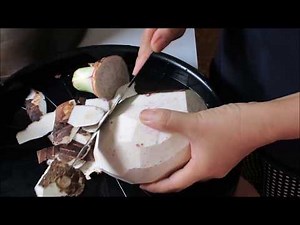 How to boiled taro ( Laos food recipes ) - Asian food