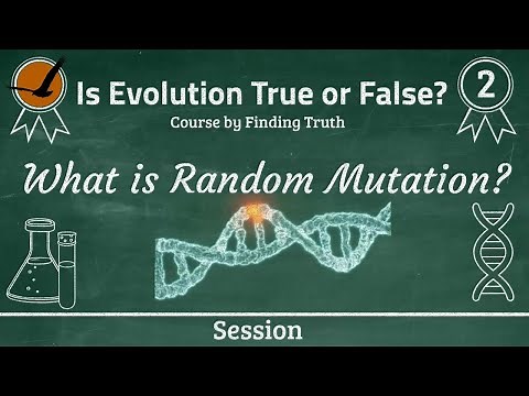 What is Random Mutation? | #EvolutionCourse | Session 2