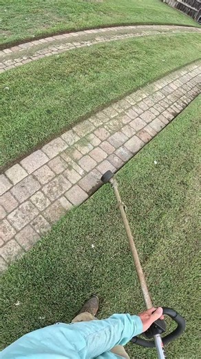 Lawn Care Maintenance Tips for a Healthy Yard