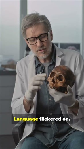 Evolution of Humans Explained Fast 🧠