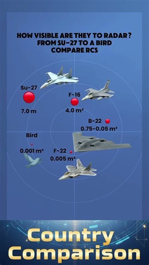 Radar Size: Su-27 vs F-22 vs a Bird!