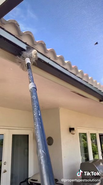 General Household Pest control service. #southflorida #smallbusiness #pestcontrol #Ghp #Propertypestsolutions #fyp