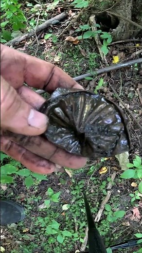 Metal Detecting Fancy Copper Cup 1800 Coins Relics Old Toys Farm Western NY #metaldetecting #shorts