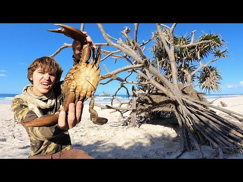 Solo Survival 24 HOURS on ISLAND Primitive HUT Building & MUDCRAB Catch n Cook! (ECHIDNA)
