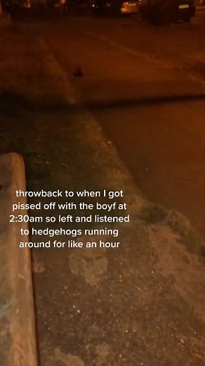 Listen to those cute feet’s 🥰 . .📸 Source : Tiktok: _livinthedream All credit are reserved for their respective Owners . Pls DM for Credit or Remove. .---------------- . . #animallover#animalslovers#animallovers#animalsofinstagram#hedgehogsofinstagram#animalslife#cuteanimalshow#quills#animals#hedgielove#hedgehogs#smallanimal#rodents#animalover