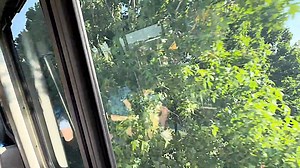 Take a ride on the Disney World Monorail and Check out the Almost Completed EPCOT Construction. | Chip and Company