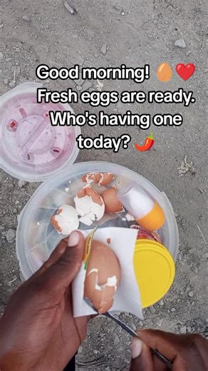 Boiled Eggs Recipe: Fresh, Warm, Ready to Serve