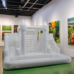 [Hot Item] Bouncy Castle with Slide and Ball Pit for Events