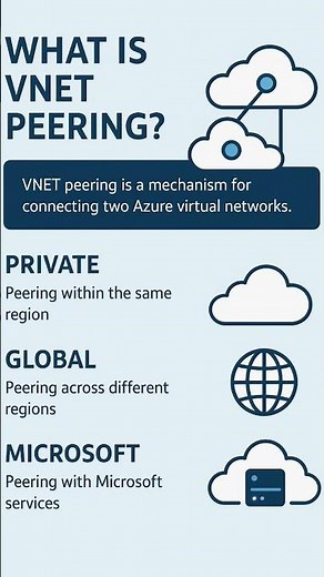 VNEt Peering