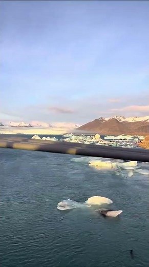 Exploring Jökulsárlón, Iceland, Arctic Adventures from Katrina C. 🇮🇸