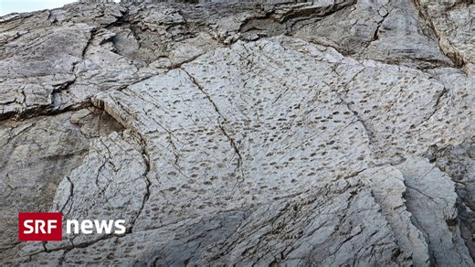 Tausende Dinosaurierspuren in Norditalien entdeckt