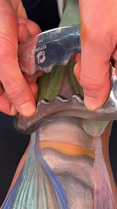 18K views · 109 reactions | Hamstring ScrapingFrom pain comes...