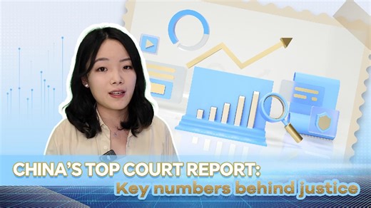 China's top court report: Key numbers behind the justice system