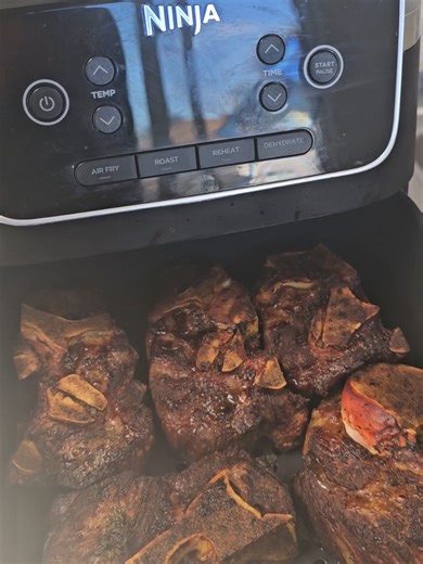 #airfryer #meat #tiktokshop best air fryer from ninja.